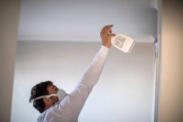Best Emergency Mold Removal  in Gratton, VA