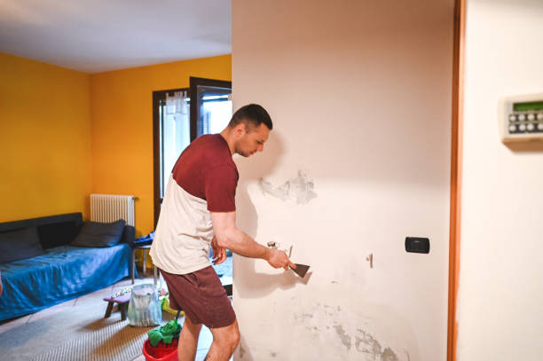 Best Mold Damage Repair  in Gratton, VA