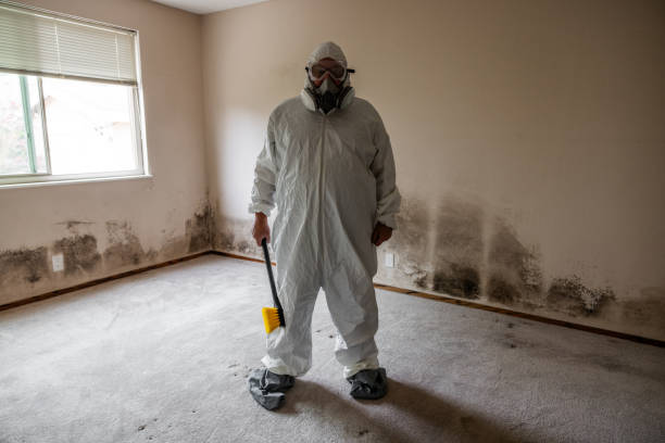 Best Mold Remediation  in Gratton, VA